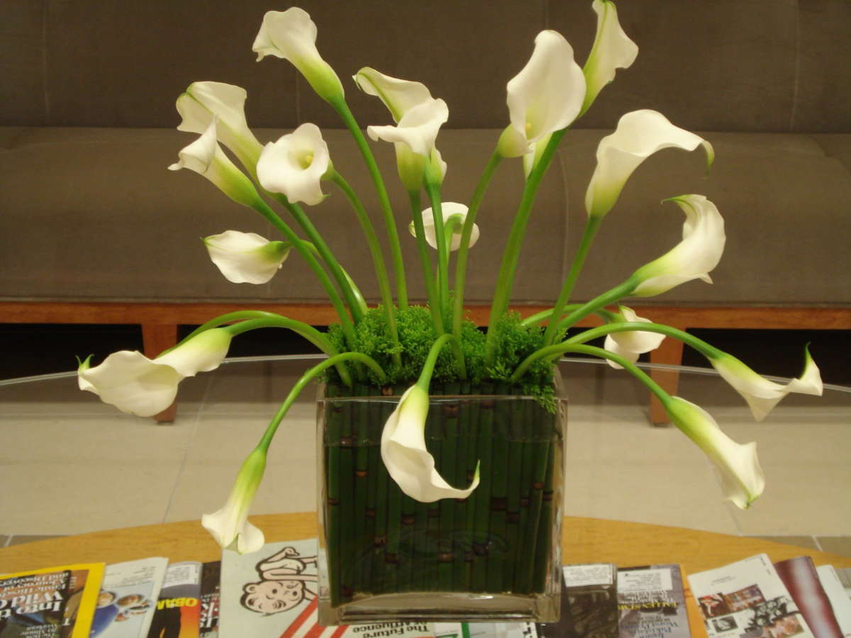 Kampo Floral Design Full service floral design studio located in New